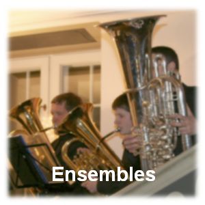 Link zum Bereich Ensembles und Orchester
